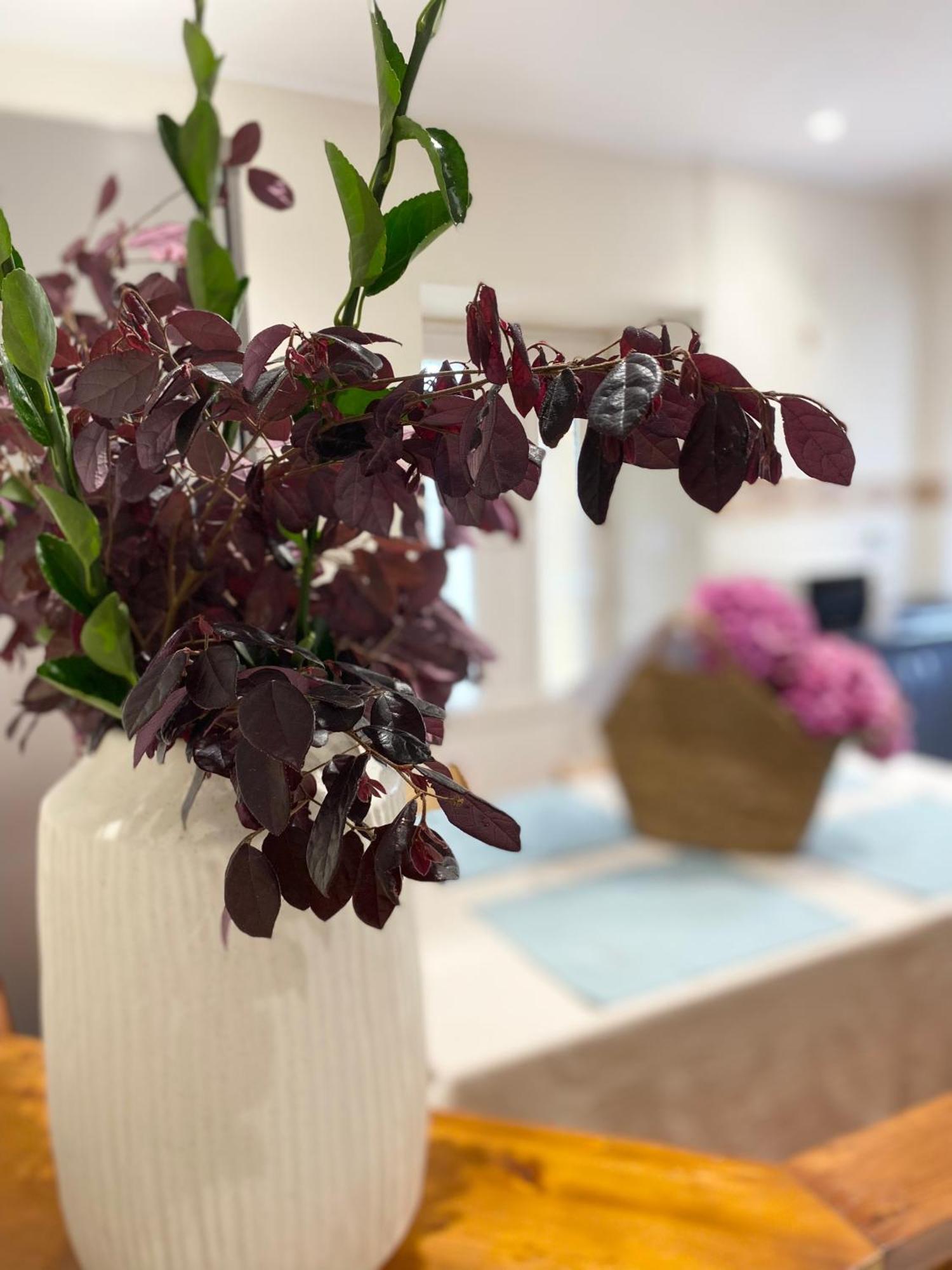Villa Maribel ฟอซ ภายนอก รูปภาพ